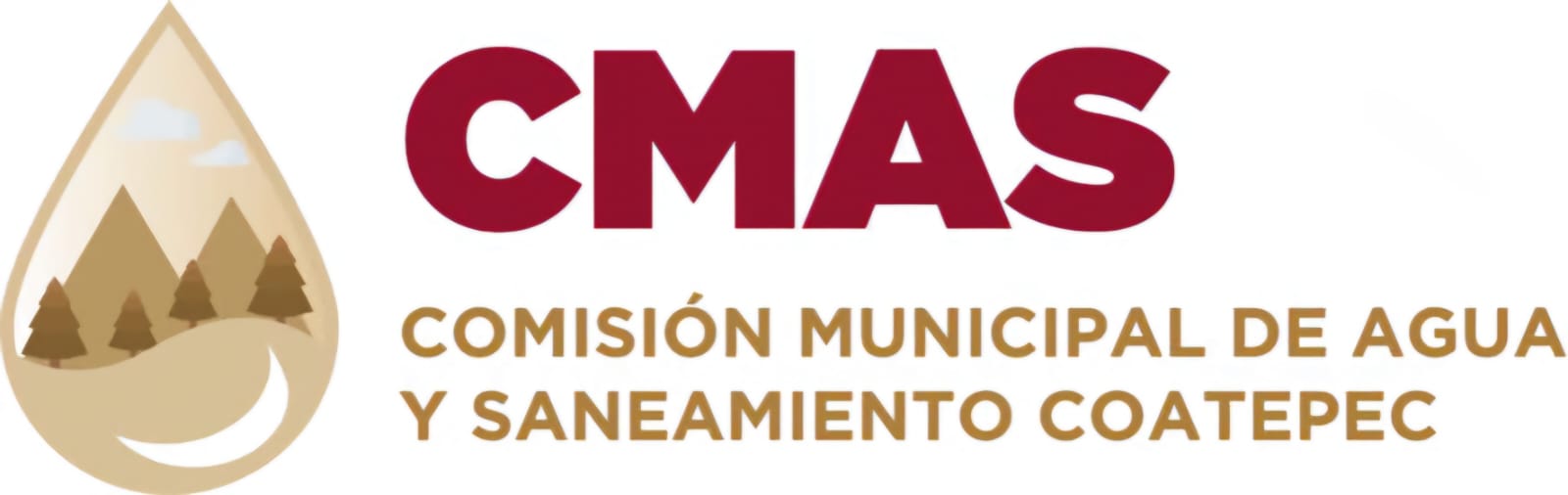 COMISION MUNICIPAL DE AGUA Y SANEAMIENTO